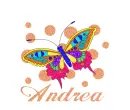 Rainbow Butterfly - Andrea
