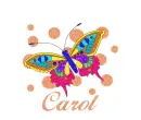 Rainbow Butterfly - Carol