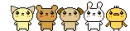 Animals dancing divider