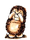 Hedgehog peekaboo