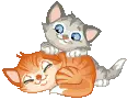 Cats