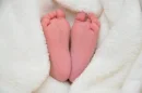 bebe pies