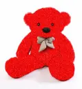 Red Teddy