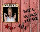 Chef Gordon Ramsay - Wanted Poster - Red Fence