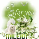 Glitter Graphics