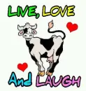 Cartoon Cow