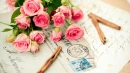 Pink Roses