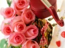 Musical Roses