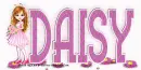 Daisy