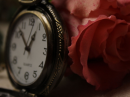 Time for Love