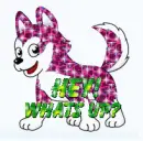 Hey whats up?
