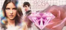 Rosa Diamante