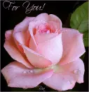 for you