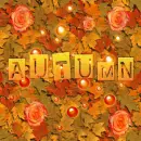 Autumn Flowers-Seamless Tile