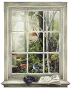 Window