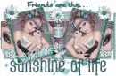 Friends Are The Sunshine Of Life - Shakela