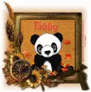 Tabby