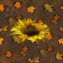 Autumn Sunflower-Seamless tile