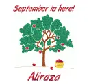 September is here - Aliraza