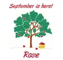 September is Here - Rose