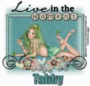 Tabby