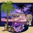 Monitor in Purle - Tabby