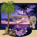 Monitor in Purple - Pelia