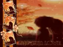 Autumn Love