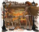 Autumn Angel  Mietta