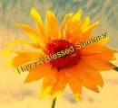 Blessed Summer