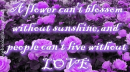 Sunshine And Love