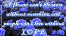 Sunshine And Love