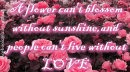 Sunshine And Love