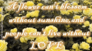 Sunshine And Love