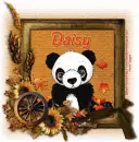 Daisy