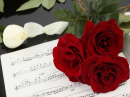 Melodious Rose