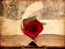 Book and Rose