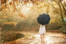 Goodbye Autumn
