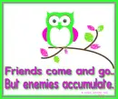 Friends - Enemies - Owl