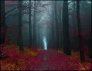 Background - Autumn/Fall