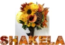 Shakela