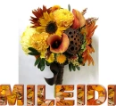 Mileidi