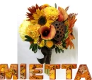 Mietta