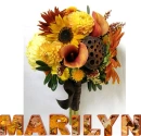 Marilyn