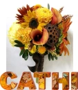 Cathi