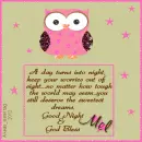 Mel - Good Night - God Bless - Owl