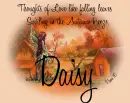 Daisy