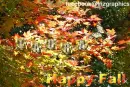 Happy Fall Laura