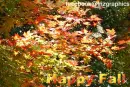 Happy Fall