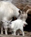 mom take care of me
